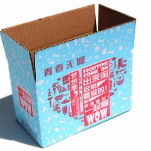 紙箱包裝展示